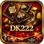 DK222-Game