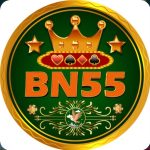 bn55-game